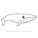 How to Draw a Cartoon Blue Whale