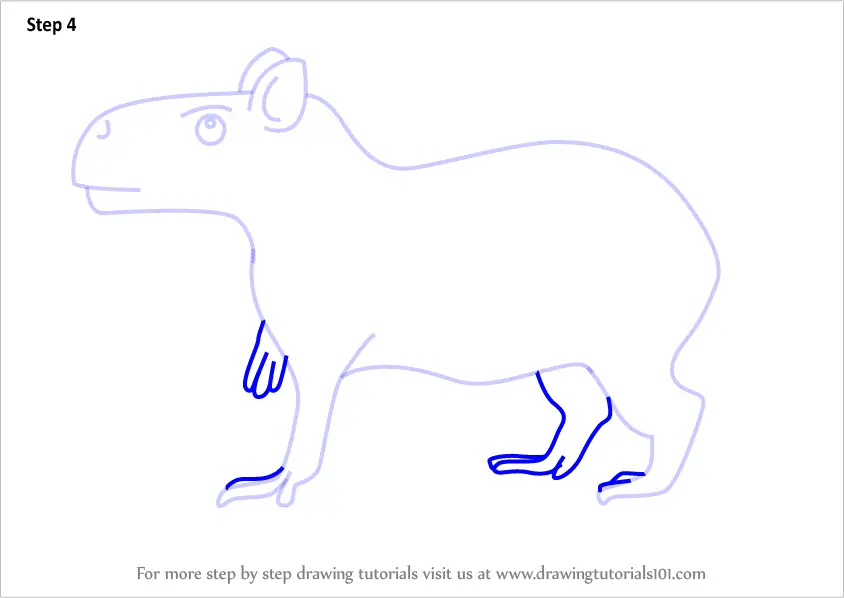 Learn How to Draw a Cartoon Capybara (Cartoon Animals) Step by Step