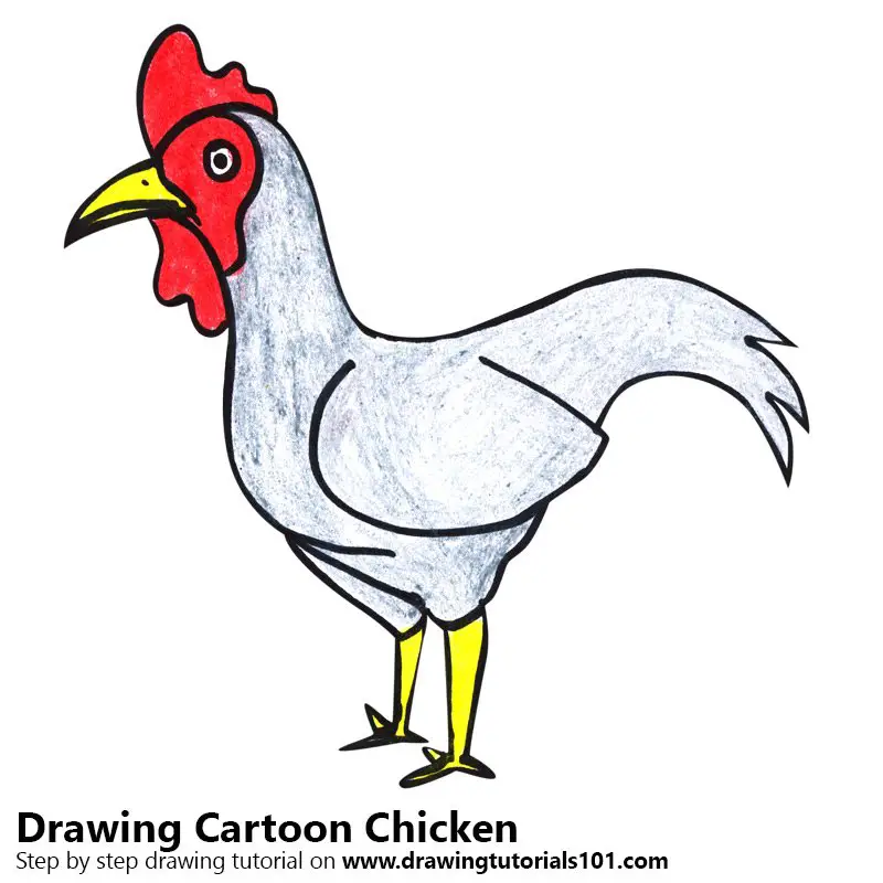Learn How to Draw a Cartoon Chicken (Cartoon Animals) Step by Step : Drawing  Tutorials