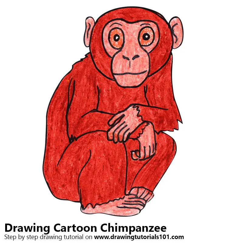 Learn How to Draw a Cartoon Chimpanzee (Cartoon Animals) Step by Step :  Drawing Tutorials