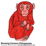 How to Draw a Cartoon Chimpanzee