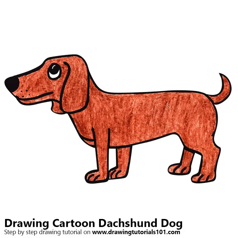 Learn How to Draw a Cartoon Dachshund Dog (Cartoon Animals) Step by