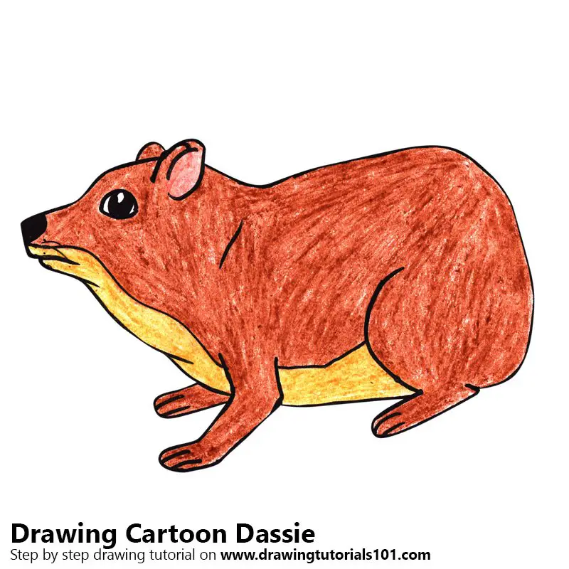 Cartoon Dassie Color Pencil Drawing