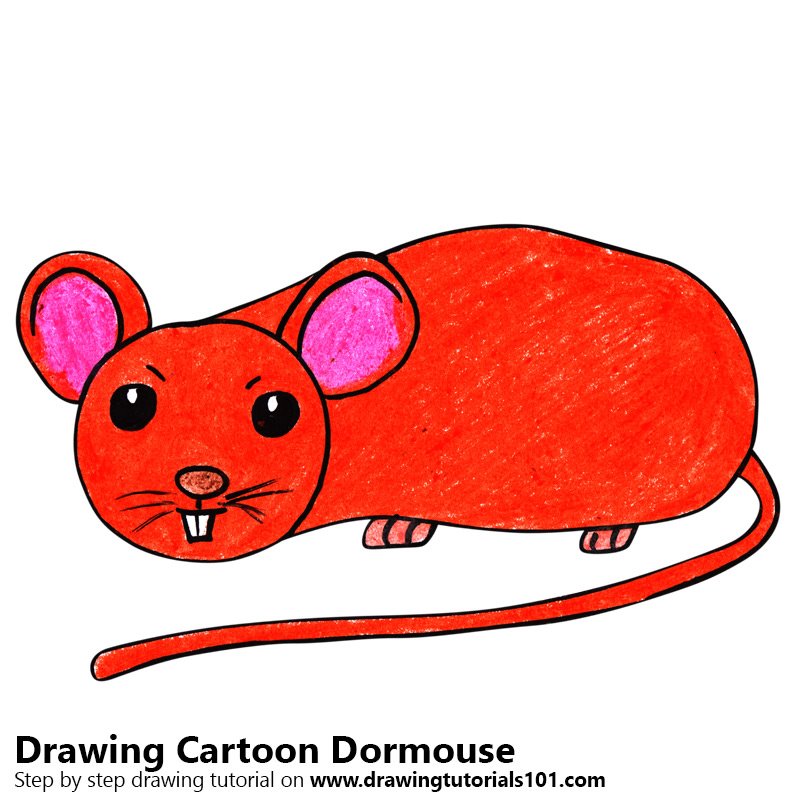 How to Draw a Cartoon Dormouse by Color Pencils