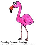 How to Draw a Cartoon Flamingo