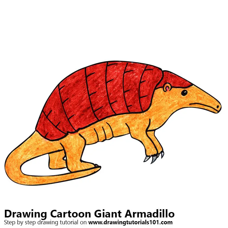Cartoon Giant Armadillo Color Pencil Drawing