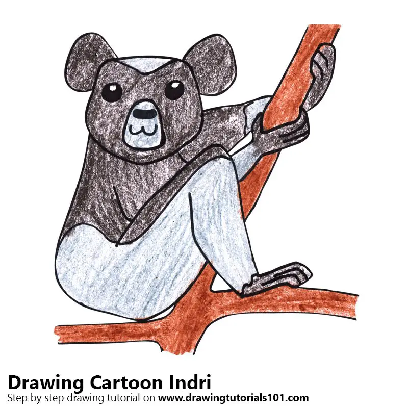Learn How to Draw a Cartoon Indri (Cartoon Animals) Step by Step : Drawing  Tutorials