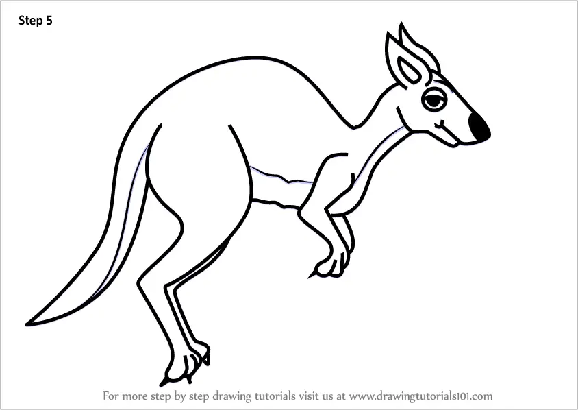 Learn How to Draw a Cartoon Kangaroo (Cartoon Animals) Step by Step