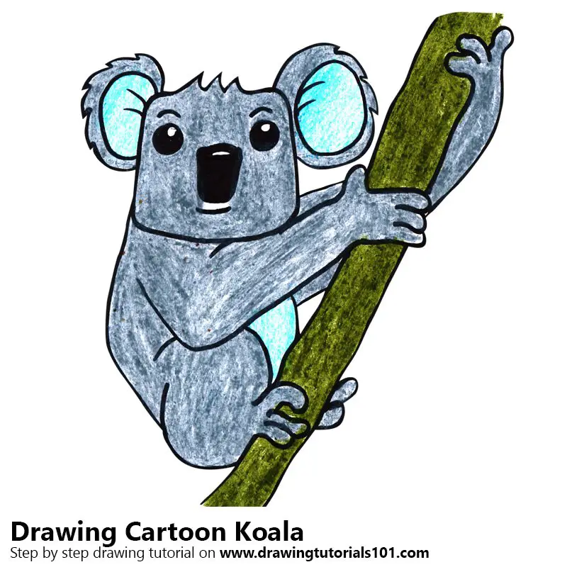 Learn How to Draw a Cartoon Koala (Cartoon Animals) Step by Step : Drawing  Tutorials