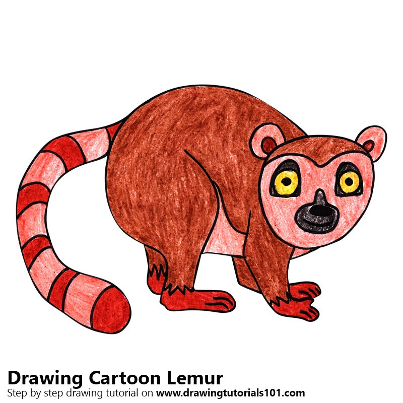 How to Draw a Cartoon Lemur by Color Pencils