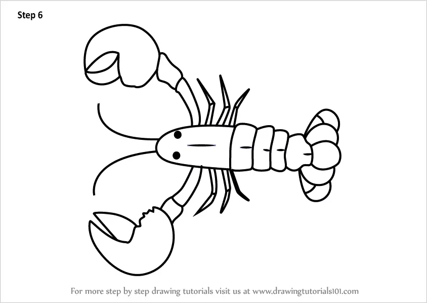 Learn How to Draw a Cartoon Lobster Cartoon Animals Step by Step 