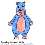 How to Draw a Cartoon Mole