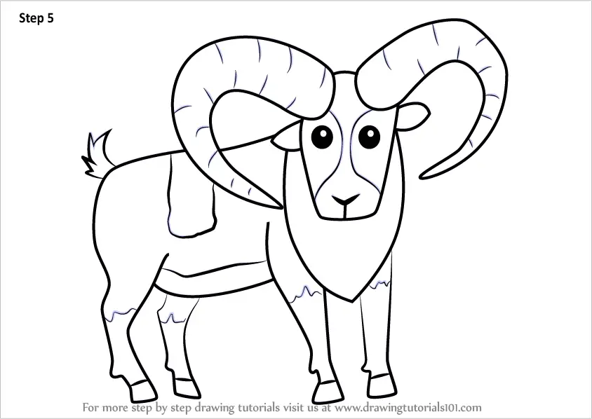 Learn How to Draw a Cartoon Mouflon (Cartoon Animals) Step by Step : Drawing Tutorials