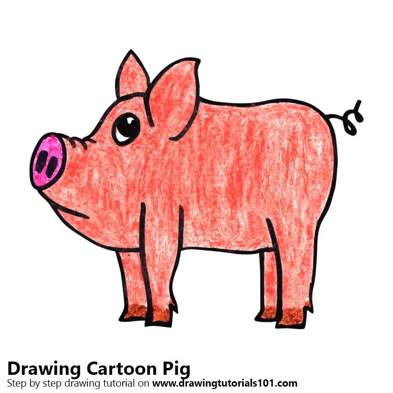 Learn How to Draw a Cartoon Pig (Cartoon Animals) Step by Step : Drawing  Tutorials