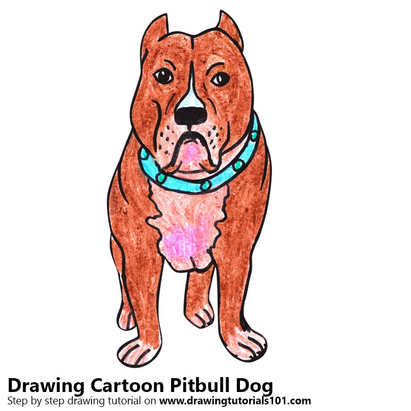 Learn How To Draw A Cartoon Pitbull Dog Cartoon Animals Step By Step