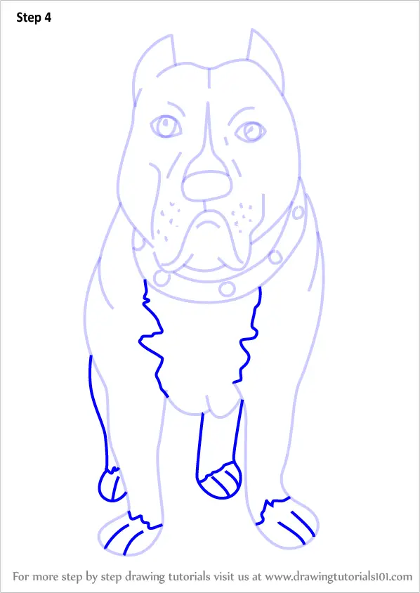 Step by Step How to Draw a Cartoon Pitbull Dog : 