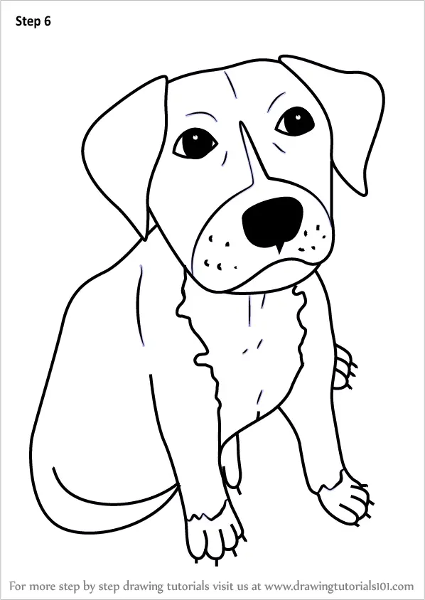 Learn How to Draw a Cartoon Pitbull Puppy (Cartoon Animals) Step by Step :  Drawing Tutorials