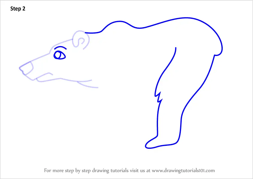 Learn How to Draw a Cartoon Polar Bear (Cartoon Animals) Step by Step :  Drawing Tutorials