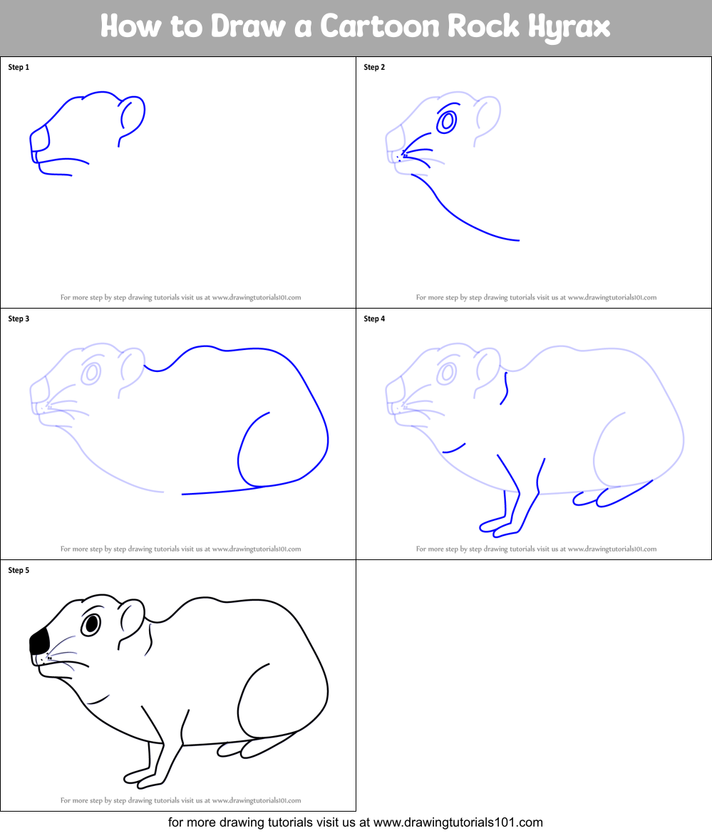 How to Draw a Cartoon Rock Hyrax Printable Step by Step