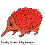 How to Draw a Cartoon Spiny Anteater