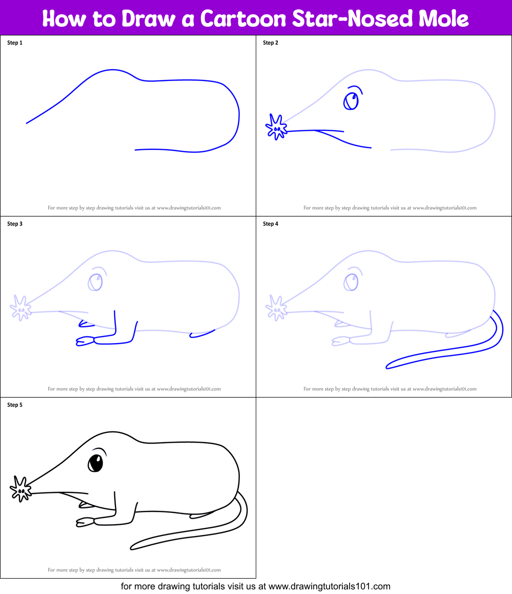 How to Draw a Cartoon Star-Nosed Mole Printable Step by Step