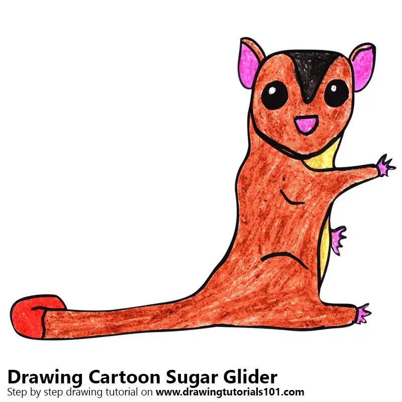 Learn How to Draw a Cartoon Sugar Glider (Cartoon Animals) Step by Step :  Drawing Tutorials