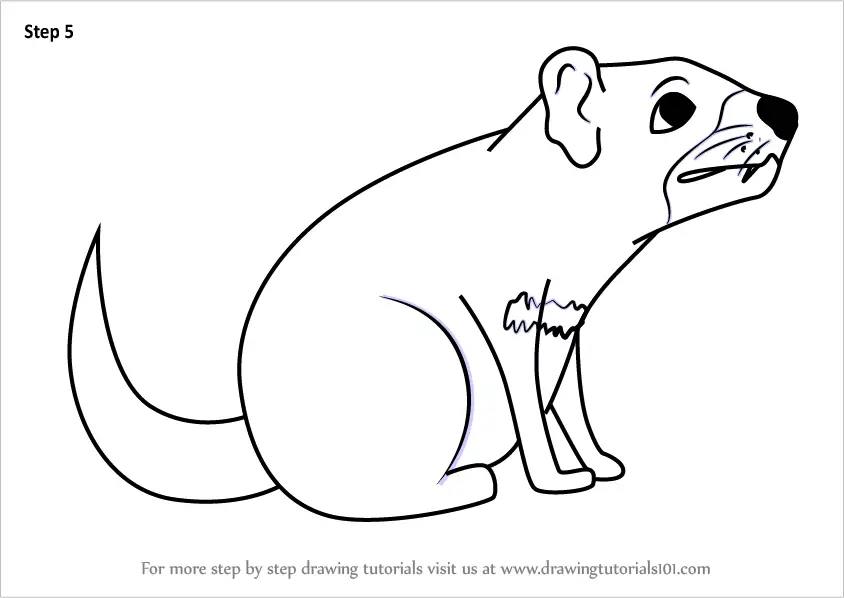 Learn How to Draw a Cartoon Tasmanian Devil (Cartoon Animals) Step by