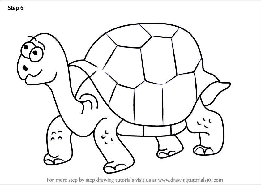 Learn How to Draw a Cartoon Tortoise (Cartoon Animals ...