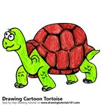How to Draw a Cartoon Tortoise