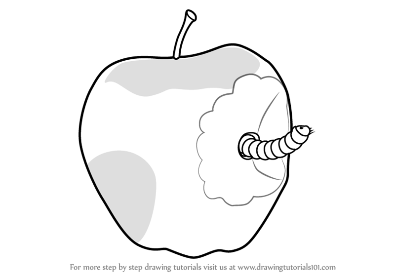 How to Draw an Apple - A Tutorial for Making a Realistic Fruit Sketch