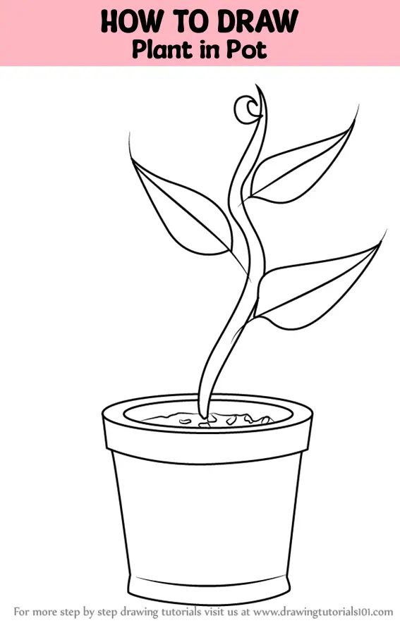 How To Draw A Flower Pot