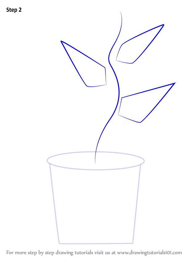 Learn How to Draw Plant in Pot (Plants for Kids) Step by Step : Drawing