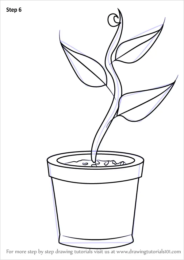 Learn How to Draw Plant in Pot (Plants for Kids) Step by Step : Drawing