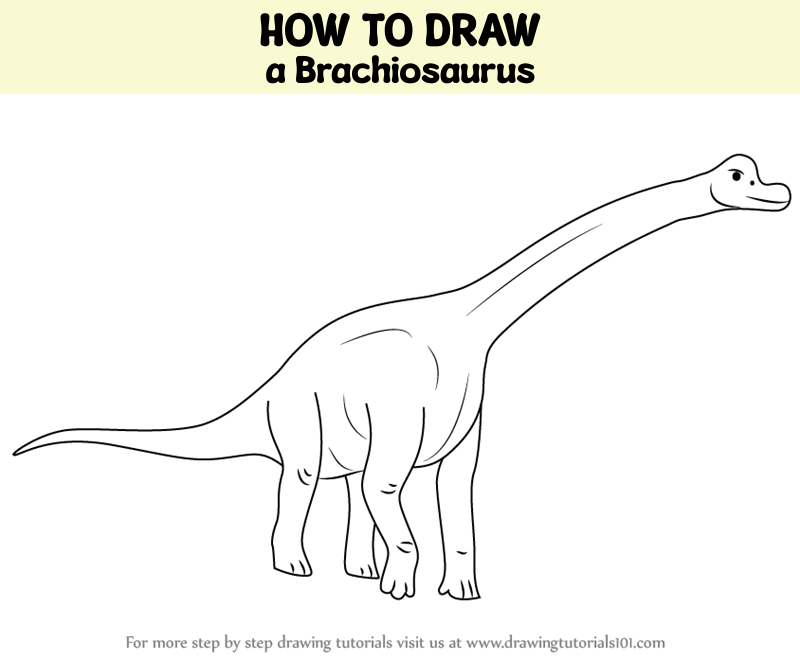 How to Draw a Brachiosaurus (Dinosaurs) Step by Step