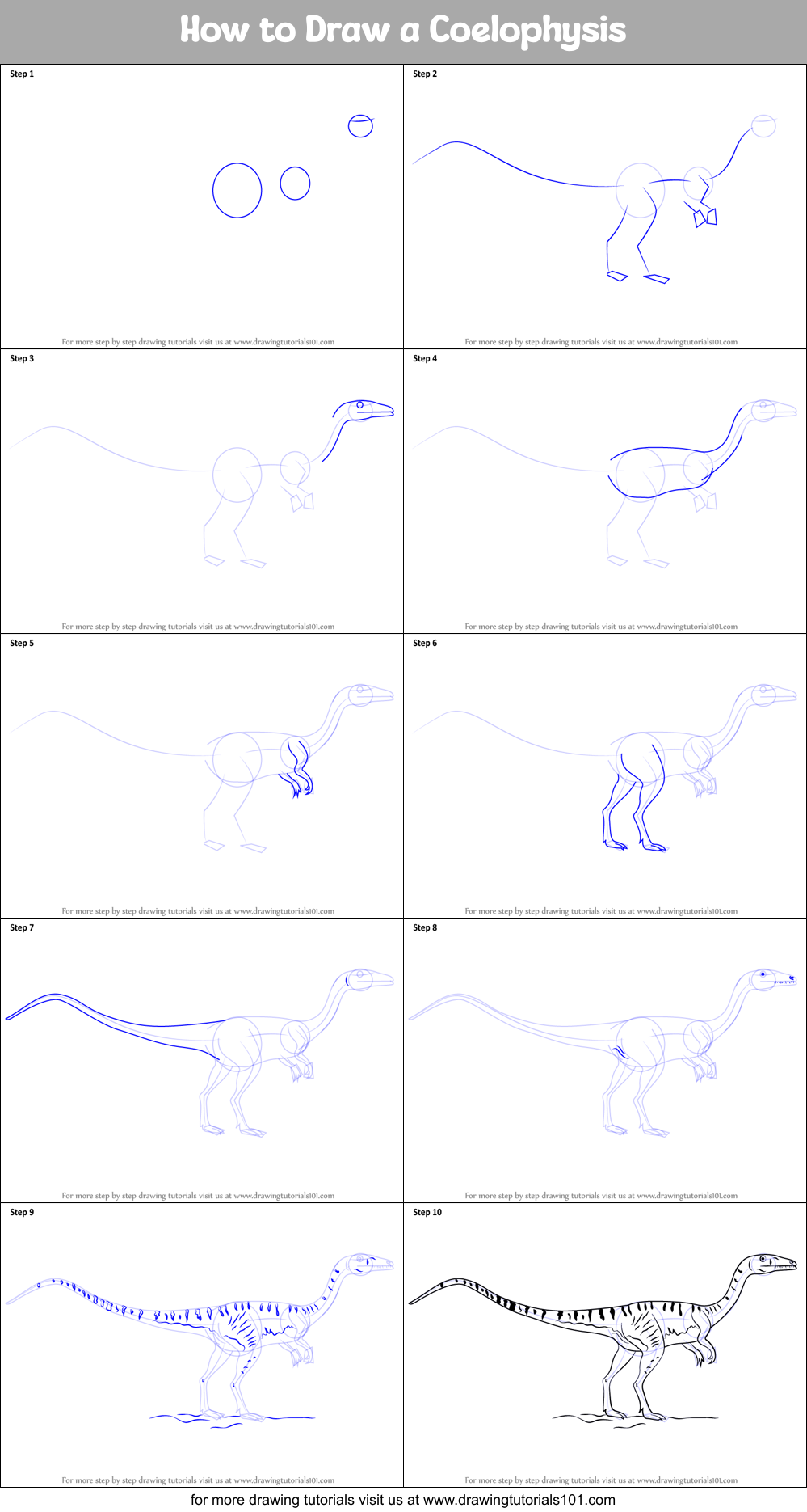 How to Draw a Coelophysis Printable Step by Step