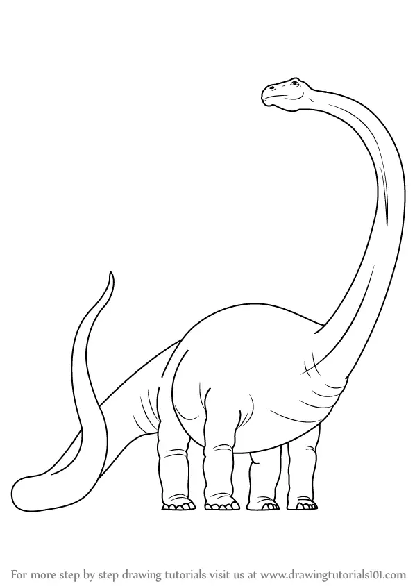 Dinosaur Line Art Cartoon Dinosaur Drawing Cartoon Drawing Dinosaur  Sketch PNG and Vector with Transparent Background for Free Download