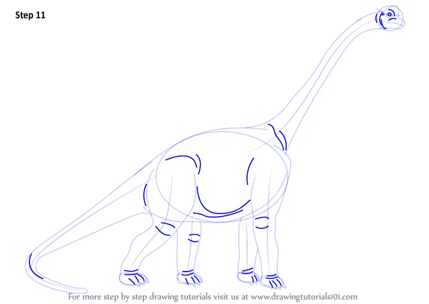 Step by Step How to Draw a Sauropod