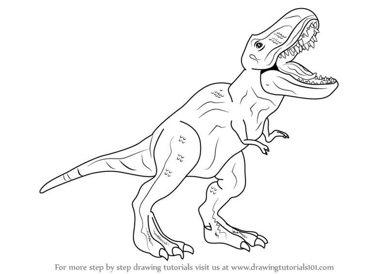 Learn How to Draw a Tyrannosaurus Rex (Dinosaurs) Step by Step ...