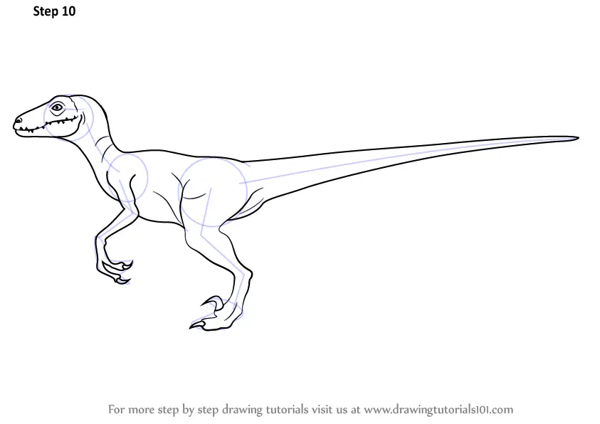 Learn How to Draw a Velociraptor (Dinosaurs) Step by Step : Drawing