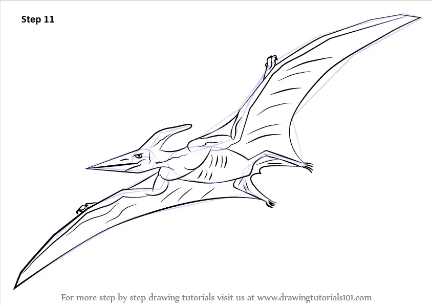 Pterodactyl Drawing  How To Draw A Pterodactyl Step By Step