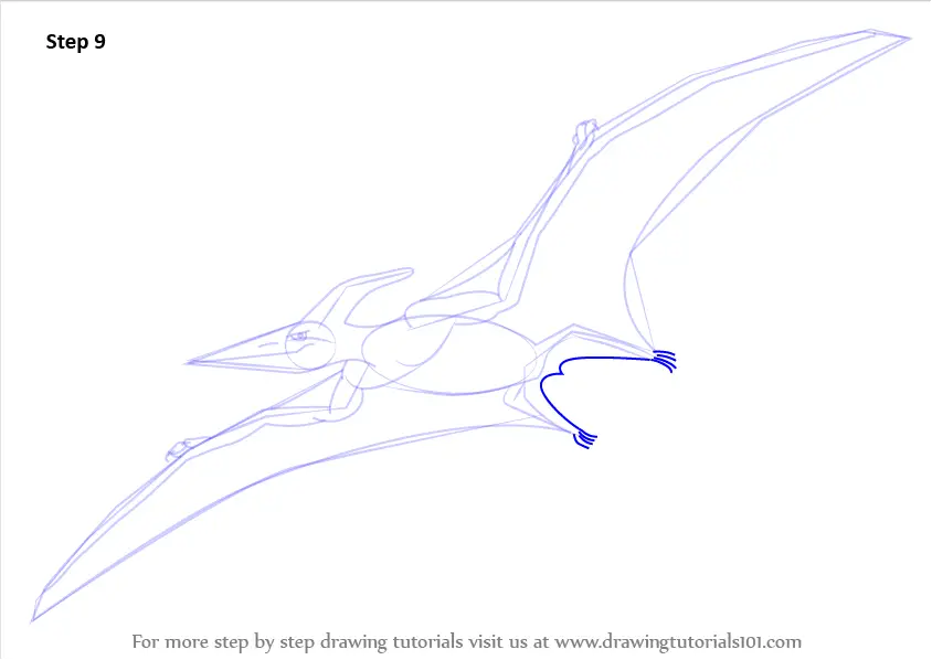 Learn How to Draw a Pterodactyl (Other Creatures) Step by Step