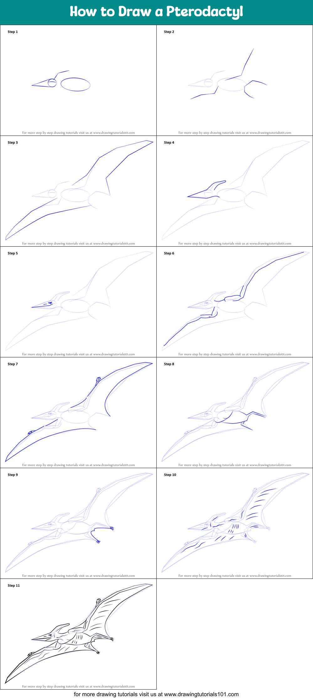 How to Draw a Pterodactyl Printable Step by Step