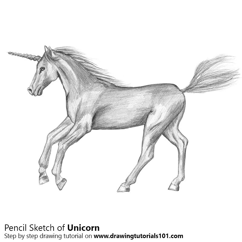 Unicorn Pencil Drawing - How to Sketch Unicorn using Pencils