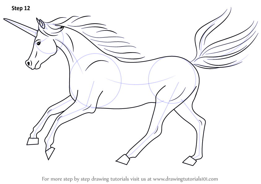 Learn How to Draw a Unicorn (Unicorns) Step by Step : Drawing Tutorials