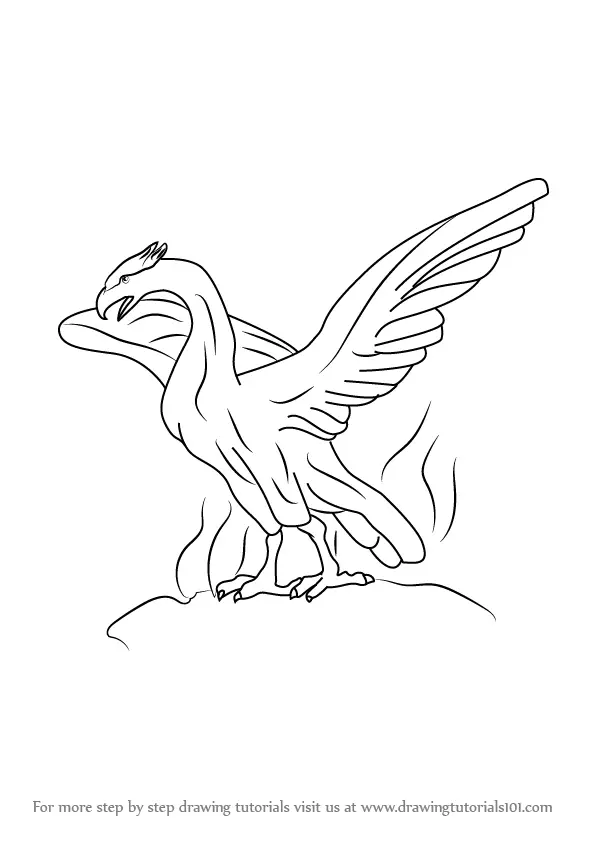 Drawing A Phoenix Step By Step Step by Step Drawing Guide by Dawn   DragoArt