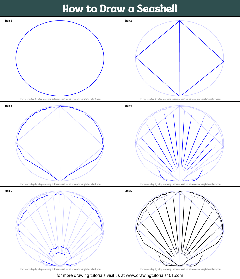 Top 103+ Images how to draw a sea shell easy Completed