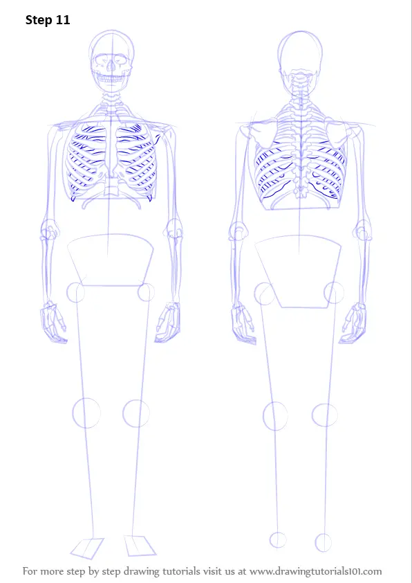 Learn How to Draw a Skeleton (Everyday Objects) Step by Step : Drawing ...