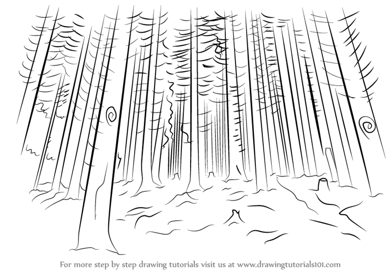 Forest Drawing Guide In 6 Steps BeginnerFriendly Video  Images Included