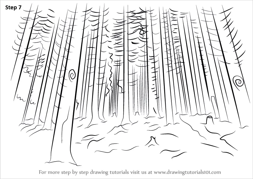  RYNER  on Twitter RT frankyRT draw drawing forest blackForest  hawk easy pencil trattopen blackandwhite Phe httpstcol3w4rG6eLN   Twitter
