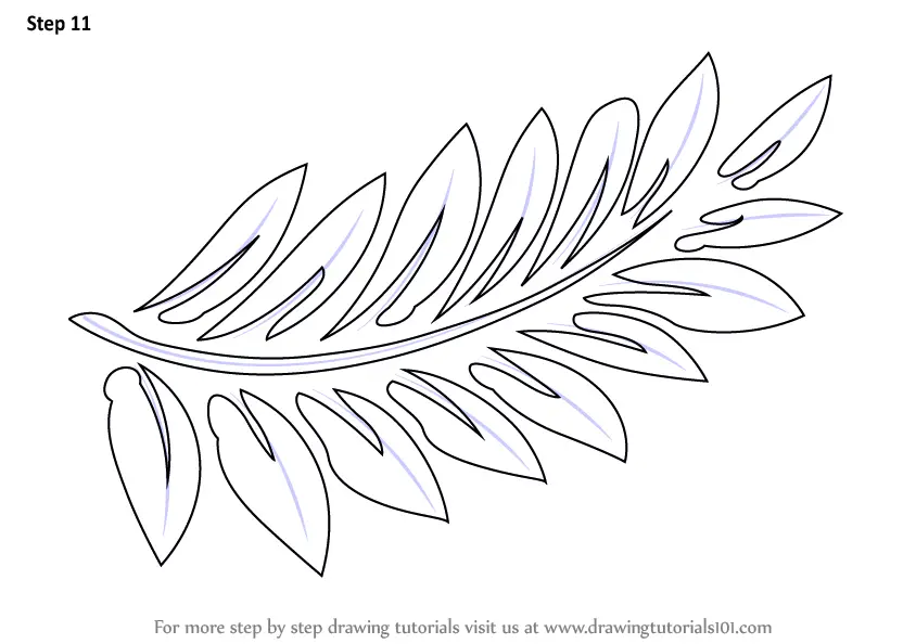Learn How to Draw Fern-fronds (Plants) Step by Step : Drawing ...